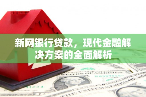 湟中新网银行贷款，现代金融解决方案的全面解析