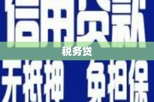 东胜税务贷