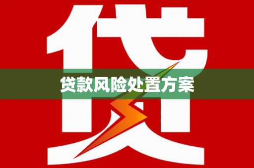 玛曲贷款风险处置方案