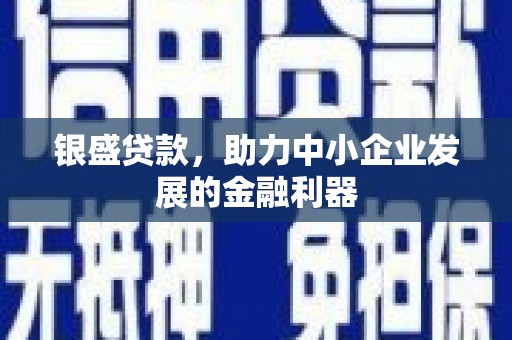 巍山银盛贷款，助力中小企业发展的金融利器