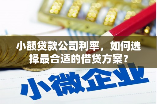阳曲小额贷款公司利率，如何选择最合适的借贷方案？