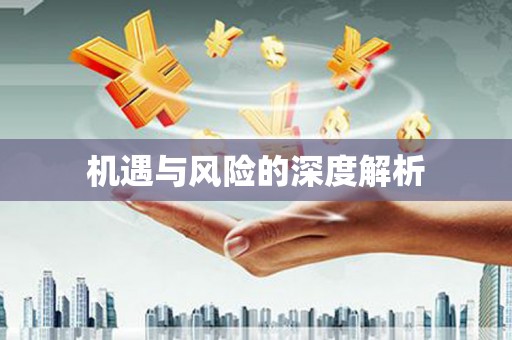 华阴机遇与风险的深度解析