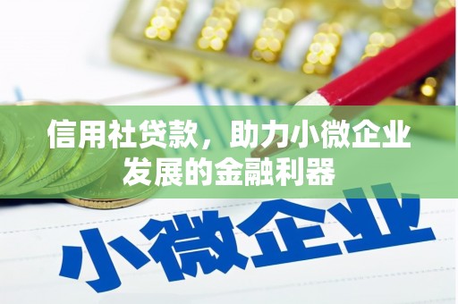 民雄信用社贷款，助力小微企业发展的金融利器