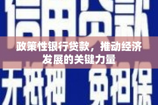 台南政策性银行贷款，推动经济发展的关键力量