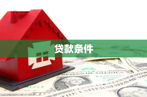 萨迦贷款条件