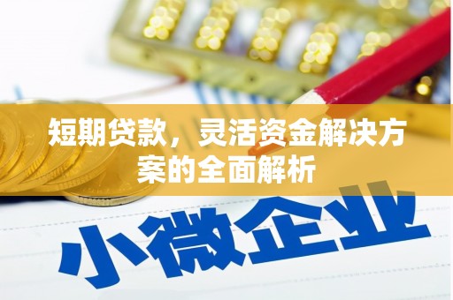 普湾新区短期贷款，灵活资金解决方案的全面解析