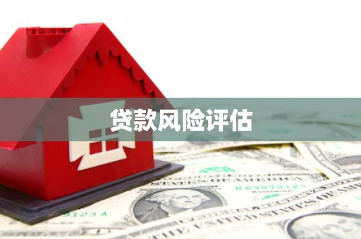 西藏贷款风险评估