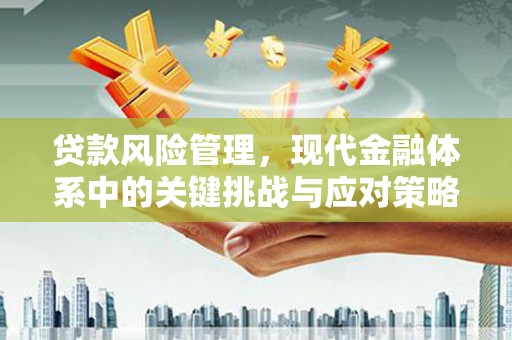 潞城贷款风险管理，现代金融体系中的关键挑战与应对策略