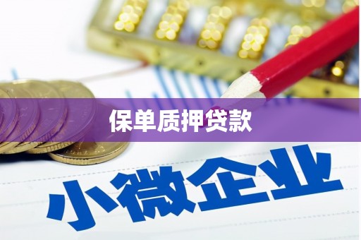 阜康保单质押贷款