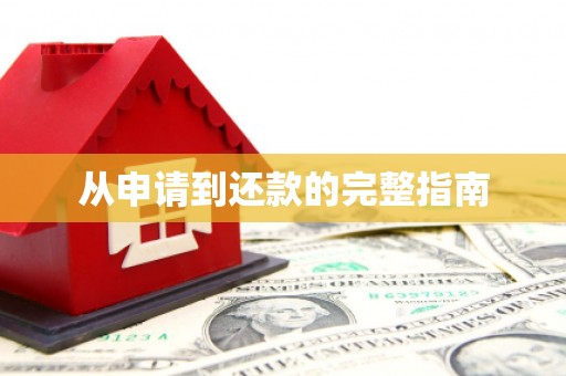惠安从申请到还款的完整指南