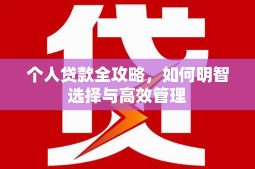 泗阳个人贷款全攻略，如何明智选择与高效管理