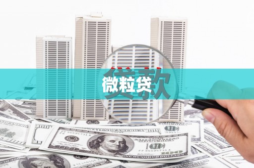 梧州微粒贷