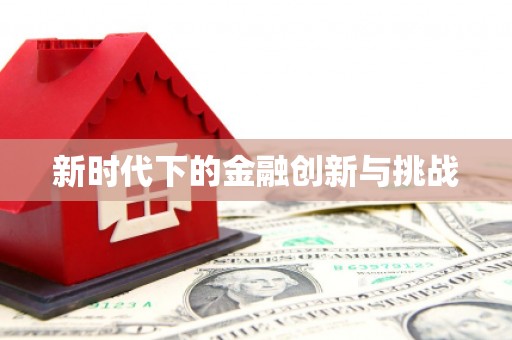 边坝新时代下的金融创新与挑战
