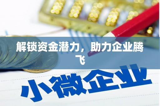 田林解锁资金潜力，助力企业腾飞