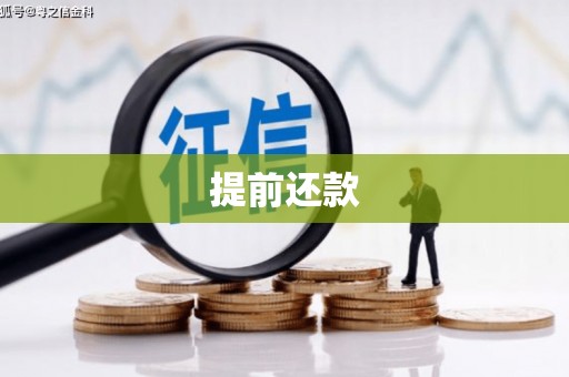 西峡提前还款