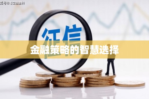 无极金融策略的智慧选择