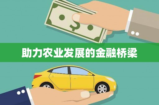 儋州助力农业发展的金融桥梁