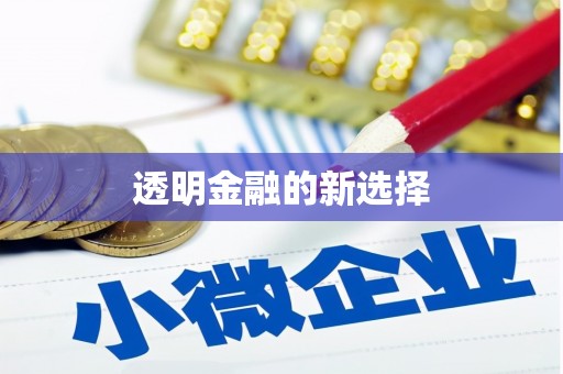 岱山透明金融的新选择