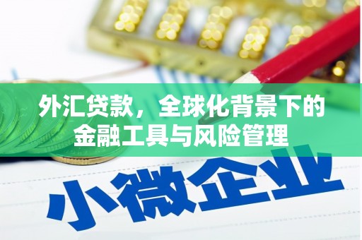 泸水外汇贷款，全球化背景下的金融工具与风险管理