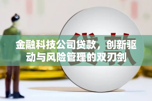 中西金融科技公司贷款，创新驱动与风险管理的双刃剑